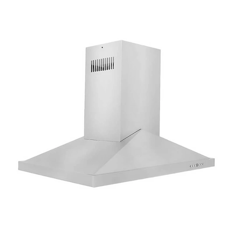 30 inch Stainless Canopy Range Hood