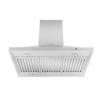30 inch Stainless Canopy Range Hood