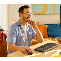 MK295 Silent Wireless Keyboard and Mouse