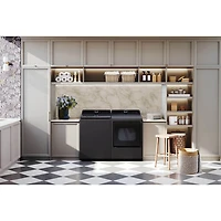 5.5 Cu. Ft. Matte Black Top Load High Efficiency Smart Washer with Built-In Faucet