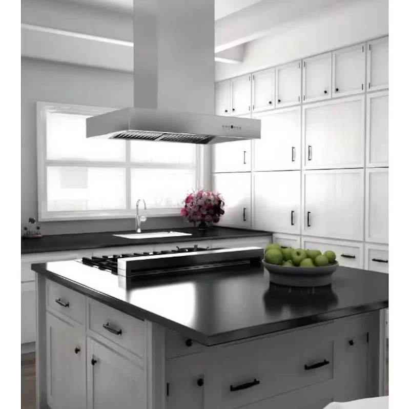 48 inch Stainless Island Mount Range Hood