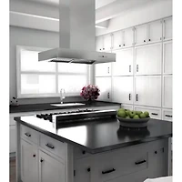 48 inch Stainless Island Mount Range Hood