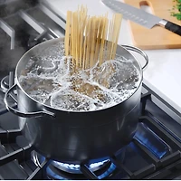 5.1 Cu. Ft. Black Freestanding Gas Range