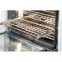 30 inch Professional Series Stainless Built-In Electric Convection Wall Oven with Microwave