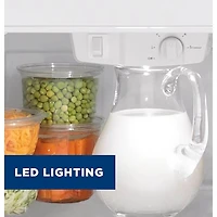 19.2 Cu. Ft. Black Top-Freezer Refrigerator