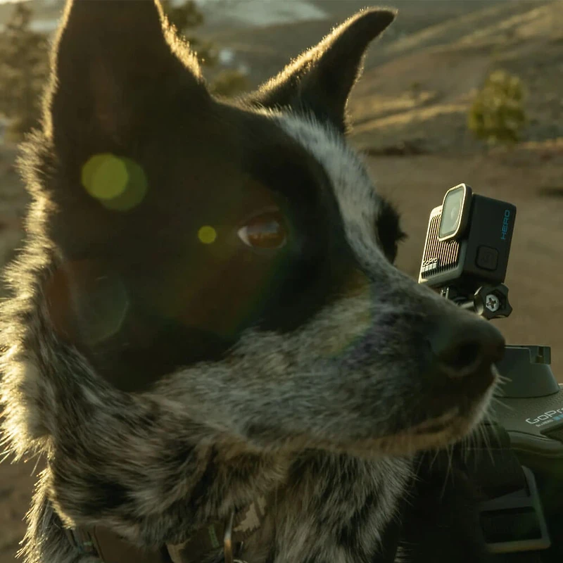 HERO Black Action Camera