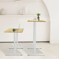 Rise Up Essential Electric Standing Desk - White