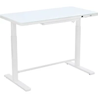 Rise Up Glass Electric Standing Desk - White