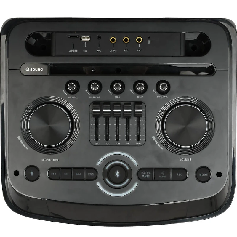 IQ Sound Cyber Flex 2 x 12 inch Wireless Party Speaker