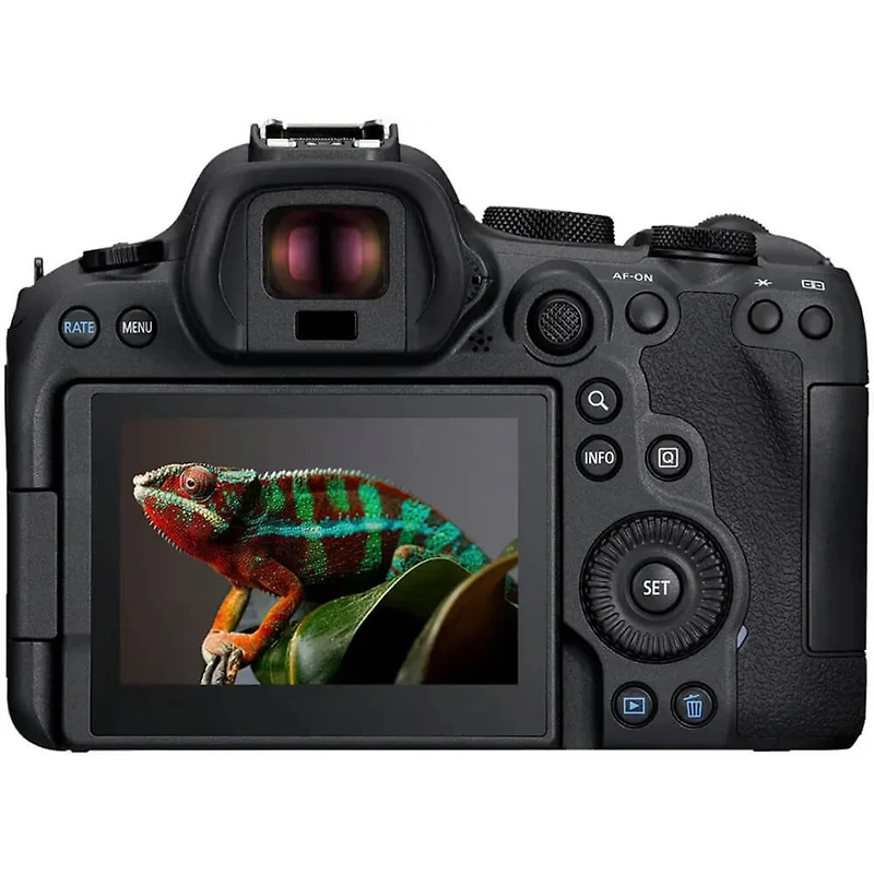 EOS R6 Mark II Mirrorless Camera (Body Only) - Black