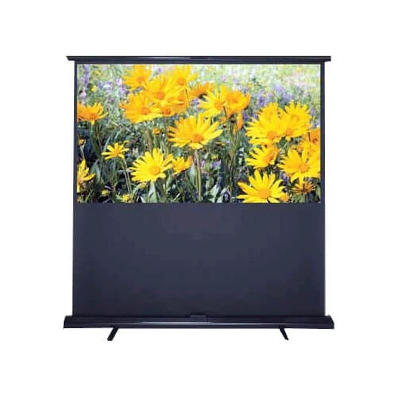 Pull-Up Series Portable Projector Screen