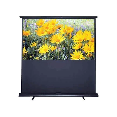 Pull-Up Series Portable Projector Screen