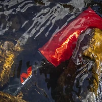 Pro-Find 40 Pinpointer Metal Detector