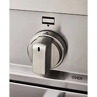 4.7 Cu. Ft. Stainless Freestanding Electric Convection Range