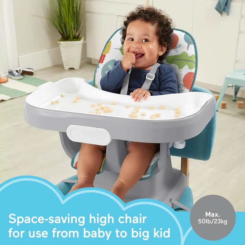 Baby to Toddler High Chair