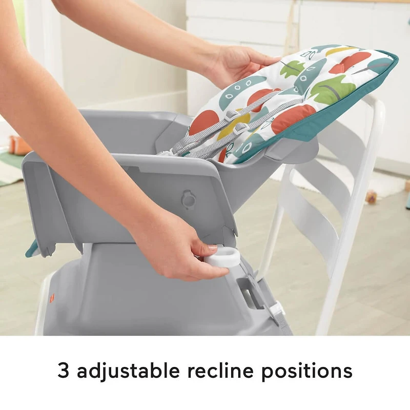 Baby to Toddler High Chair