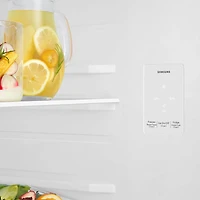 18 Cu. Ft. Stainless Top Freezer Freestanding Refrigerator