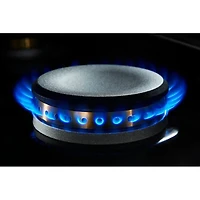 6.3 Cu. Ft. Stainless Freestanding Dual Fuel Double Oven Range