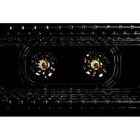 6.3 Cu. Ft. Stainless Freestanding Dual Fuel Double Oven Range