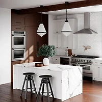 30 inch Professional Stainless True Convection Electric Double Wall Oven