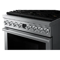 5.9 Cu. Ft. Silver Stainless Freestanding Gas Smart Range