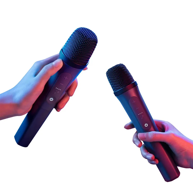 Rave 3 Wireless Karaoke Party Speaker