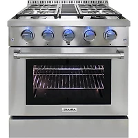 4.2 Cu. Ft. Stainless Freestanding Gas Range