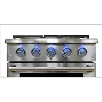 4.2 Cu. Ft. Stainless Freestanding Gas Range