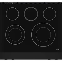 4.55 Cu. Ft. Matte Black Gordon Ramsay Collection Freestanding Electric Range