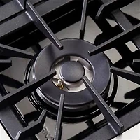 8.64 Cu. Ft. Stainless Freestanding Gas Range