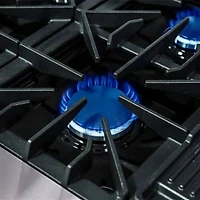 8.64 Cu. Ft. Stainless Freestanding Gas Range