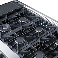 8.64 Cu. Ft. Stainless Freestanding Gas Range