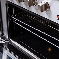 8.64 Cu. Ft. Stainless Freestanding Gas Range