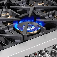 5.36 Cu. Ft. Stainless Freestanding Dual-Fuel Gas Range