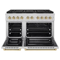 6.7 Cu. Ft. Stainless Freestanding Gas Range with Polished Gold Accents