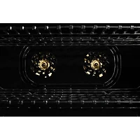 6.3 Cu. Ft. Stainless Dual Fuel Freestanding Gas Range