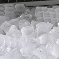 24 inch Half Cube Undercounter Ice Machine - Stainless/Black