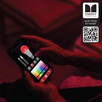 100Ft. Multi-Color Flow LED Light Strip