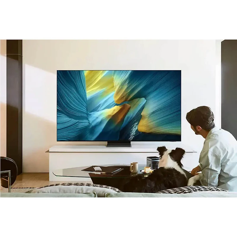 inch Class OLED 4K S95F Vision AI Smart TV (2025