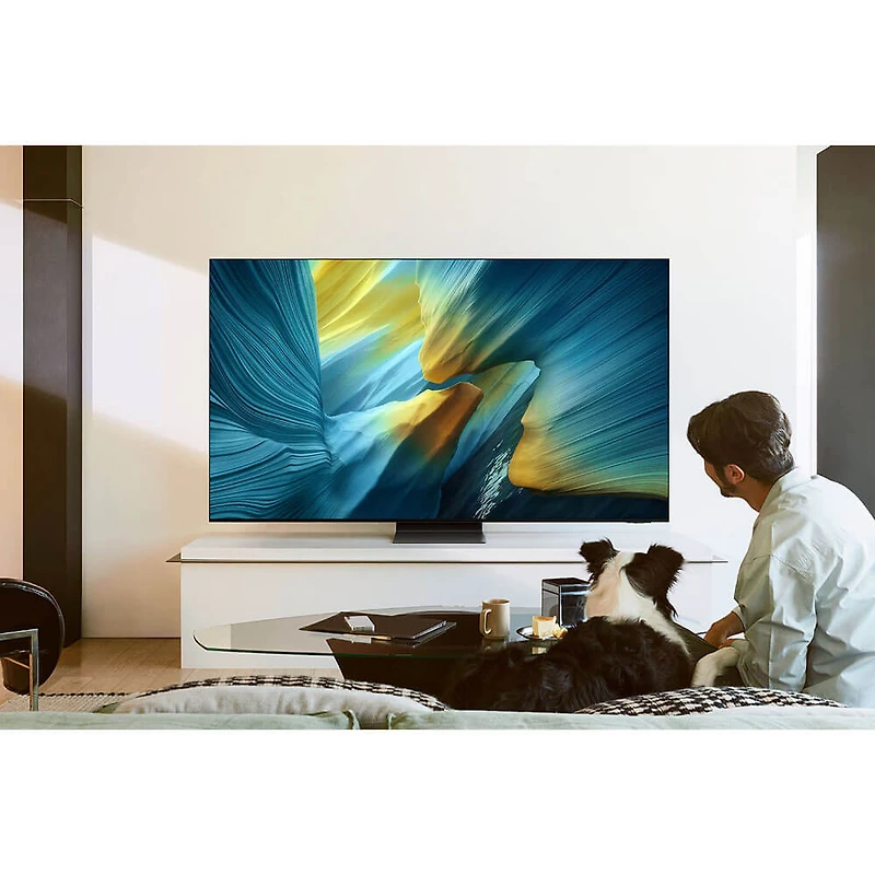 inch Class OLED 4K S95F Vision AI Smart TV (2025