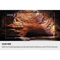 inch Class S85F Series 4K OLED Vision AI Smart Tizen TV