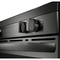 5.3 Cu. Ft. Black Stainless Freestanding Electric Range