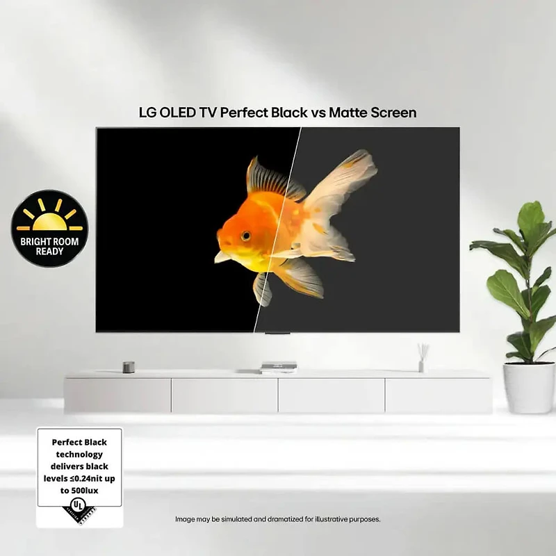 inch Class C5 Series 4K OLED Smart TV