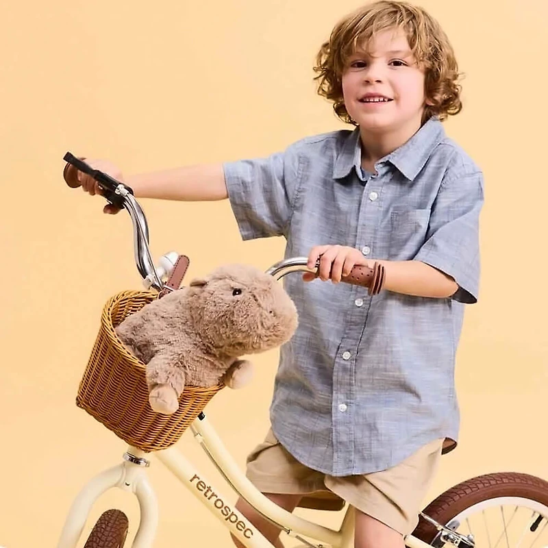 Microwavable French Lavender Scented Plush Capybara