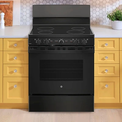 5.0 Cu. Ft. Black Freestanding Electric Range