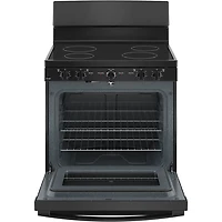 5.0 Cu. Ft. Black Freestanding Electric Range