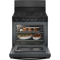 5.0 Cu. Ft. Black Freestanding Electric Range