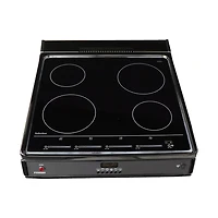 2.9 Cu. Ft. Stainless Freestanding Electric Induction Range