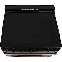 3.9 Cu. Ft. Stainless Freestanding Electric Range