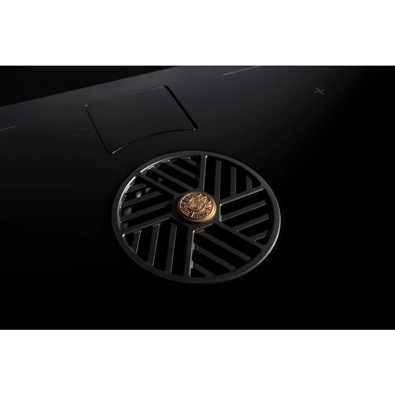 36 inch Black Induction 4 Burner Drop-In Downdraft Electric Cooktop